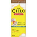 【3980円以上で送料無料(沖縄を除く)】hoyu ホーユー CIELO シエロ ムースカラー 3C キャラメルブラウン