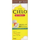 【3980円以上で送料無料(沖縄を除く)】hoyu ホーユー CIELO シエロ ムースカラー 4P ピュアブラウン