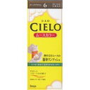 ◆10個セット/【3980円以上で送料無料(沖縄を除く)】hoyu ホーユー CIELO シエロ ムースカラー 6 ダークブラウン