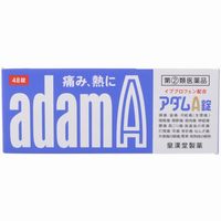 【第(2)類医薬品】【10000円以上で送料無料（沖縄を除く）】皇漢堂製薬 アダムA錠 48錠