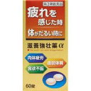 【第3類医薬品】【3980円以上で送料無料(沖縄を除く)】皇漢堂製薬 滋養強壮薬α 60錠