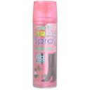 【3980円以上で送料無料(沖縄を除く)】くつ&ブーツ消臭Agスプレー 220ml