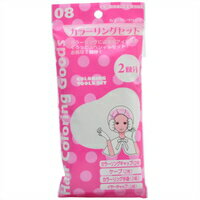 ◆10個セット/【3980円以上で送料無料(沖縄を除く)】カラーリンググッズ 08 カラーリングセット 2回分