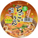【ケース販売】五木 ちっこいうどん 松茸風味 110g×12個