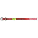 【3980円以上で送料無料(沖縄を除く)】鑑札入付強力平首輪 レッド #30(1コ入)