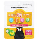 2Zbg/y[֑zKIDS IQ Tv 20(100) [X쌒N]