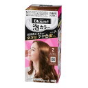 【3980円以上で送料無料(沖縄を除く)】花王 Blaune ブローネ泡カラー 2 より明るいライトブラウン