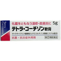 【第 2 類医薬品】【メール便は何個・何品目でも送料255円】【お取り寄せ対象品】テトラコーチゾン軟膏 5g