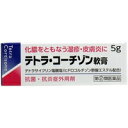 【第(2)類医薬品】【メール便は何個 何品目でも送料255円】【お取り寄せ対象品】テトラコーチゾン軟膏 5g