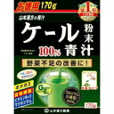 【3980円以上で送料無料（沖縄を除く）】山本漢方 ケール粉末100％(170g)[山本漢方 青汁]