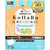 【第2類医薬品】【3980円以上で送料無料（沖縄を除く）】パスタイムFXこはる(40枚入)