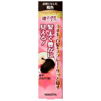 【3980円以上で送料無料(沖縄を除く)】柳屋本店 レディース トップシェード スプレーウィッグ 自然になじむ褐色 100g 【3980円以上で送料無料(沖縄を除く)】柳屋本店 レディース トップシェード スプレーウィッグ 自然になじむ褐色 100g
