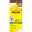 【3980円以上で送料無料(沖縄を除く)】hoyu ホーユー CIELO シエロ ムースカラー 3S スタイリッシュブラウン