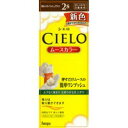 【3980円以上で送料無料(沖縄を除く)】hoyu ホーユー CIELO シエロ ムースカラー 2S 明るいスタイリッシュブラウン