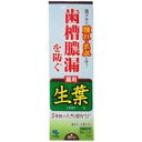 【3980円以上で送料無料(沖縄を除く)】小林製薬 生葉 しょうよう 100g
