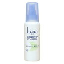 【3980円以上で送料無料（沖縄を除く）】花王 Liese リーゼ ポイント用ミスト 100ml