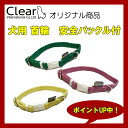 犬用 首輪 安全バックル付 【サイズS】アップルグリーン Clear ppark [犬 首輪 かわいい シンプル カラフル オリジナル おしゃれ ペット ドッグ...