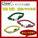 犬用 首輪 安全バックル付 【サイズL】アップルグリーン Clear　ppark [犬 首輪 シンプル カラフル オリジナル おしゃれ ペット ドッグ いぬ イヌ 楽天通販]