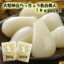 玉琥珀（たまこはく） 200g