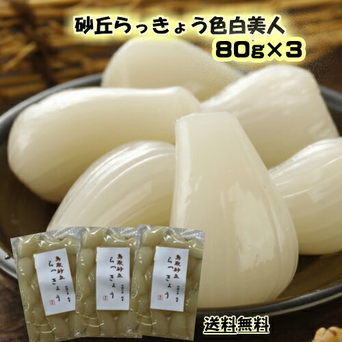 国産 らっきょう鳥取砂丘美人80g 3袋ネコポスで送料無料