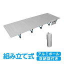 【お買い物マラソン限定!1着半額!まとめ買い2枚購入割引クーポン利用で! 】コット キャンプ ベッド アルミ 折りたたみベッド ロータイプ アウトドアベッド 簡易コット ベンチ チェア レジャーベッド 簡易ベッド ソロキャンプ od281