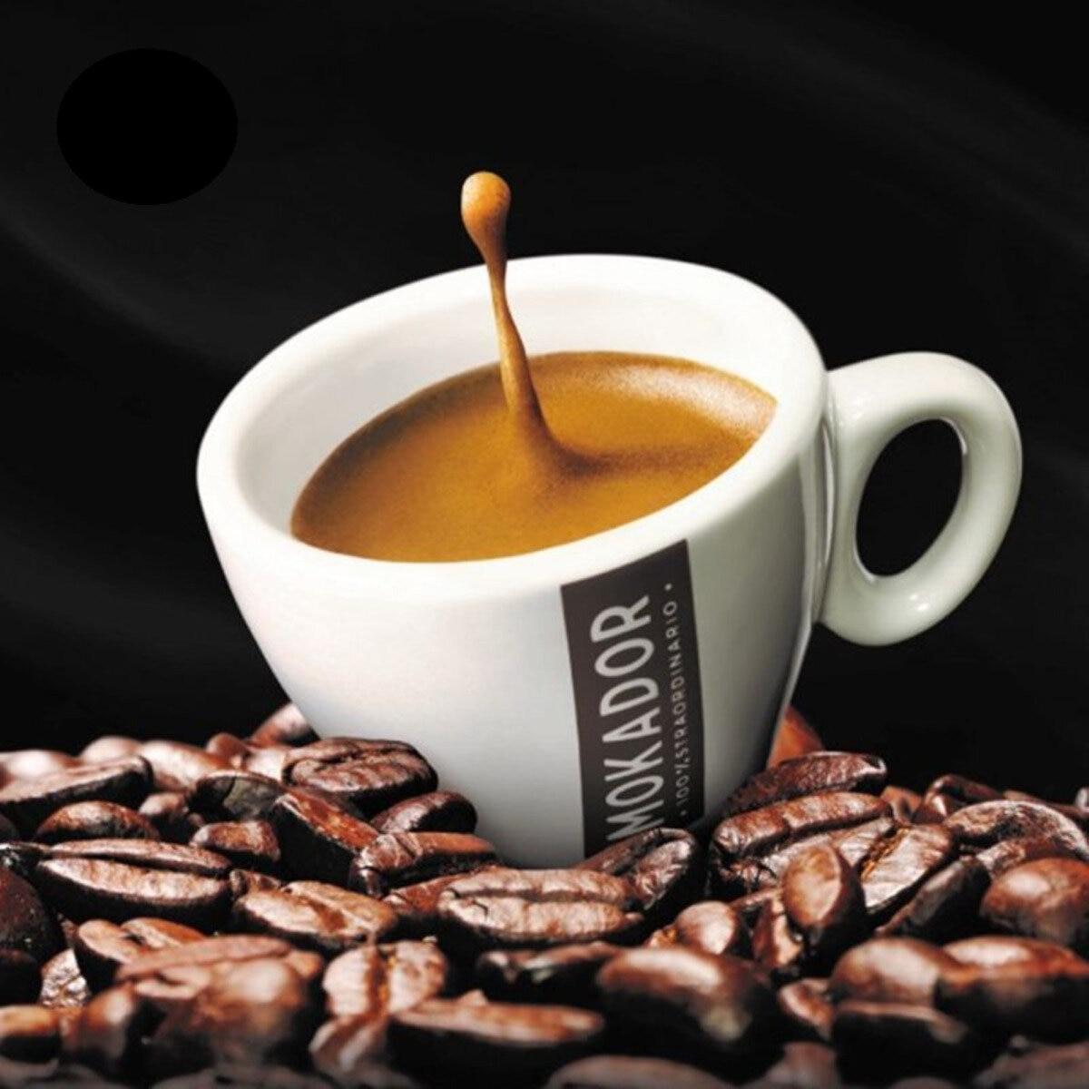 限定販売 MOKADOR 100%ARABICA ネスプレッソ互換カプセル 100カプセル入