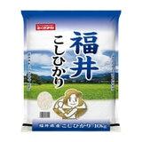 最大ポイント12倍!本日限定 福井県産 こしひかり 10kg