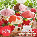 博多あまおうのこだわりアイス (計9個)/ 送料無料