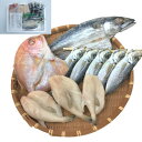 大分 「豊後絆屋」 甘塩仕込み一夜干し詰合せ B