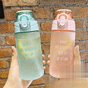 【5と0のつく日限定!1着半額!まとめ買い2枚購入割引クーポン利用で! 】水筒 ストロー おしゃれ 可愛い ins風 プラスチック 夏用 体操 ヨガ トレーニン...