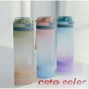 【期間限定!1着半額!まとめ買い2枚購入割引クーポン利用で! 】水筒 ストロー 夏用 おしゃれ ins風 子供 大人 通勤 通学 大容量 500ml プラスチック ジム 体操 ヨガ トレーニング 登山 自転車 軽い スポーツ コップ 運動水筒
