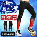 スポーツ タイツ レギンス 夏用 ロング インナー ランニング トレーニング スパッツ 男性用 伸縮 コンプレッションウェア ランニング アウトドア