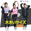 大きいサイズ レディースジャージ 上下5セット 長袖 スポーツウェア運動服 カジュアル春夏 脂肪燃焼 フィットネス ランニング ジム 日常 母の日