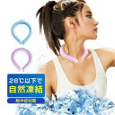 正規品 ネッククーラー アイスネックバンド ネックリング 冷却リング アイス 28℃ 子供用 熱中症対策 ひんやりグッズ クールリング おまけ付け