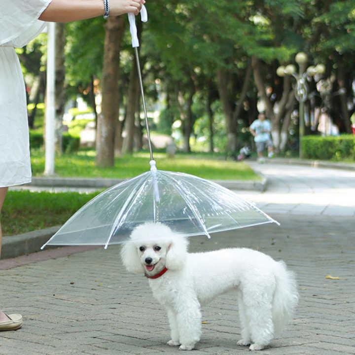 ペット用品 犬用 傘 防水 透明 おしゃれ ユニーク 雨対策 アウトドア 可愛い 人気 お散歩 軽量 便利 プレゼント 通販