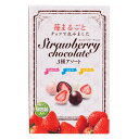 Xgx[`R[g A\[g{bNX 410g@Strawberry Chocolate Assorted Box 410g