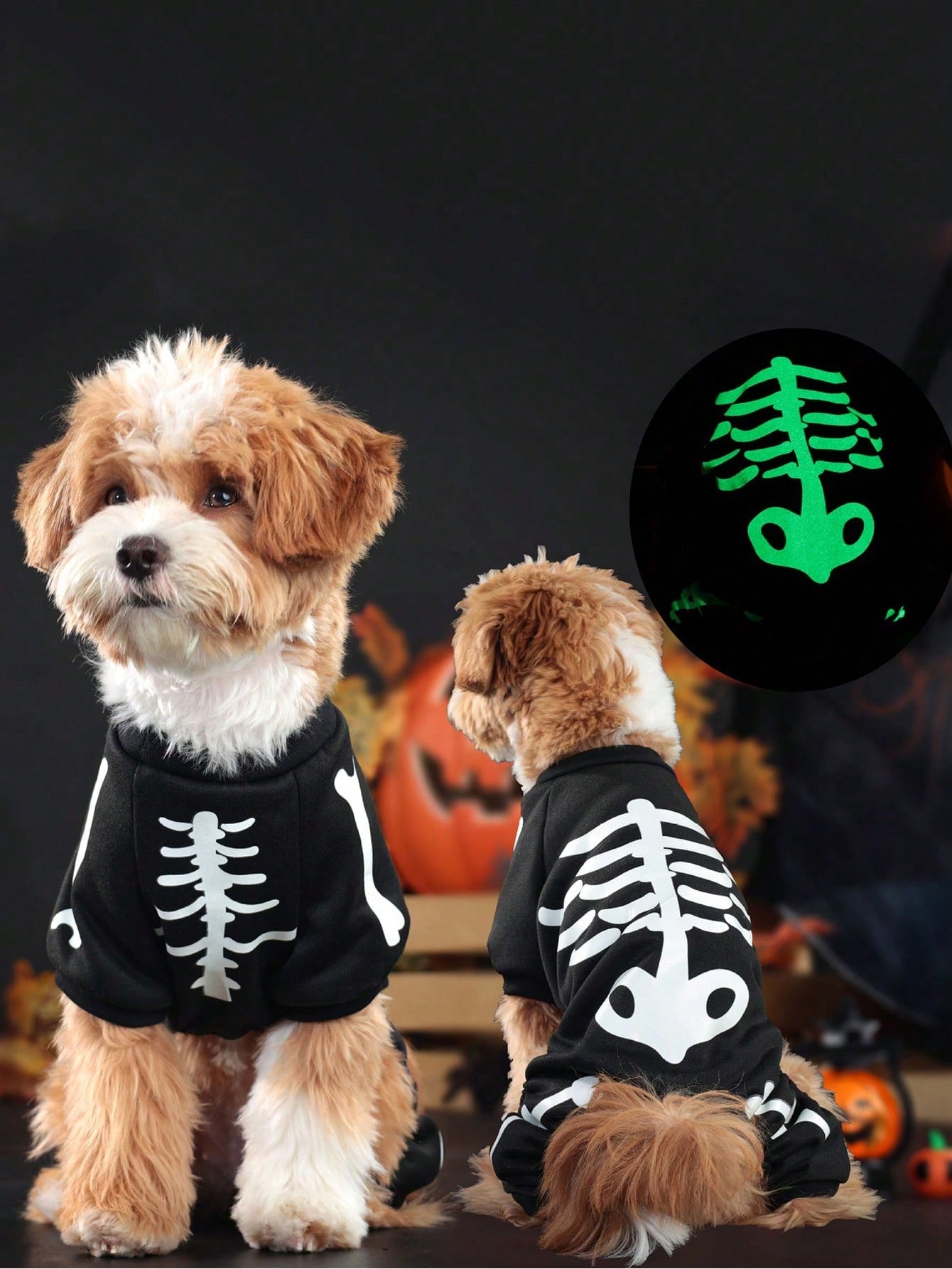 【お買い物マラソン限定！1着半額！まとめ買い2枚購入割引クーポン利用で！ 】ペット用ハロウィンウェア 発光スカル変身ドレス タイツ 1枚 猫犬用コスプレ衣装 ハロウィンパーティー用 楽しい仮装