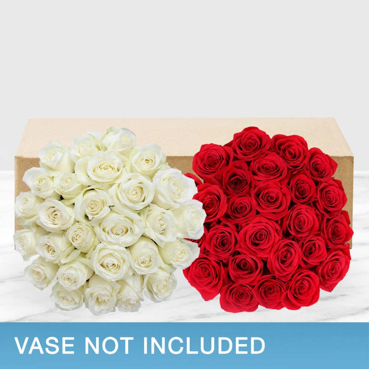 �ڥݥ���Ⱥ���12��!���㤤ʪ�ޥ饽�󡪡ۥХ� 50�� ���� ct30568