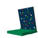 クライミングウォール ロックステーション4(H230) ct31881