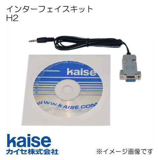 ���󥿡��ե��������å� H2 ������