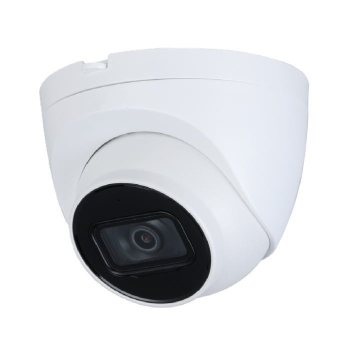 2メガピクセル防水ドーム型IPカメラ IP-2D21 マザーツール MotherTool IPネットワークカメラシステム IPカメラ 代引不可（楽天・創工館　楽天市場店）