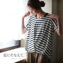 【送料無料】カットソー M/L/LL/3Lサイズ フェミニン...