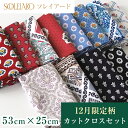 【超ポイントバック祭限定ポイント10倍】SOULEIADO ソレイアード 生地 シーチング カットクロスセット 1000円ポッキリ 送料無料 12月セレクト ソレイアードオンラインショップ限定 ハギレ はぎれ 手作り 手芸 ソーイング ハンドメイド ホビー プロヴァンス 南仏 テキスタイル