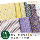 SOULEIADO ソレイアード ラミネート 生地 カットクロスセット 1000円ポッキリ 送料無料 5月セレクト ハギレ はぎれ 手作り 手芸 ソーイング レ...