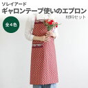 SOULEIADO ギャロンテープ使いのエプロン材料セット 全4色