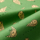 【スーパーSALE期間中ポイント10倍】kippis オックス生地 Uggla /北極フクロウ グリーン kippis 2025 Spring&Summer