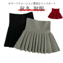 スカート 女の子 膝丈 ニットスカート 秋冬 制服 プリーツ フォーマル プリーツスカート 韓国 子供服 発表会 入学式 キッズ ボトムス ダンス衣装 姫系 姉妹 双子 誕生日 結婚式 呼ばれ 発表会 ガールズ オシャレ 可愛い 80 90 100 110 120 130 送料無料
