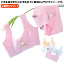 ジュニアブラ ノンワイヤー 2組セット キッズブラ 夏 子供用 上下セット タンクトップ スタンダードショーツ 冷感 中学生 2組セット シームレス ナイトブラ パンツ 涼しい セットアップ 高学年 小学生 インナー 下着 スポーティー 女の子 女子 こども用 送料無料