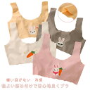スポーツブラ 子供 下着 キッズ 3点セット 涼しい ジュニア スクールインナー 冷感 肌着 ブラトップ ブラ 夏 ハーフトップ 縫い目がない タンクトップ ノ...