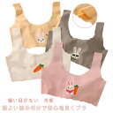 スポーツブラ 子供 下着 キッズ 3点セット 涼しい ジュニア スクールインナー 冷感 肌着 ブラトップ ブラ 夏 ハーフトップ 縫い目がない タンクトップ ノンワイヤー キャミソール 吸水速乾 ナイトブラ ブラジャー 中学生 小学生 冷感 シームレス 送料無料